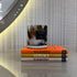 Little Book of Versace