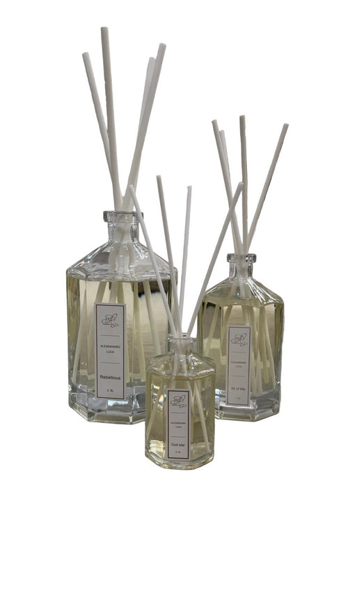 Rebellious Diffuser 2.8L