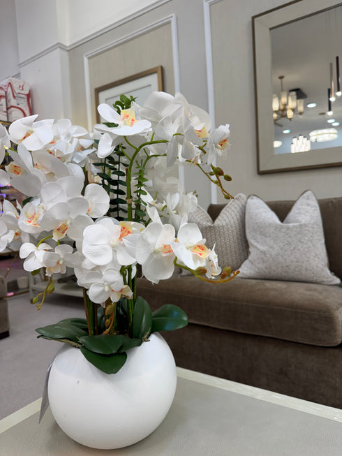 Table Top Orchid Plant Pot Display