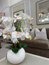 Table Top Orchid Plant Pot Display