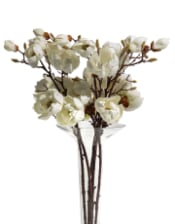 Magnolia Branch Stem (1 stem)