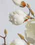 Magnolia Branch Stem (1 stem)