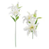 Real Touch White Crinkle Lillies