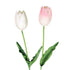 Real Touch Ivory Tulip