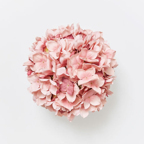 Large Round Hydrangea Ball