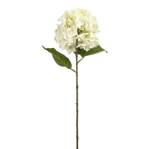 Large Round Hydrangea - White