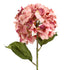 Large Round Hydrangea - Blush