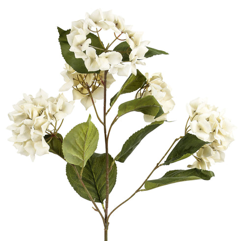 Round Hydrangea White