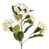 Round Hydrangea White