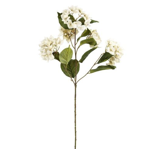 Round Hydrangea White