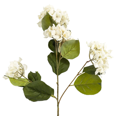 Round Hydrangea White