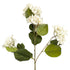 Round Hydrangea White