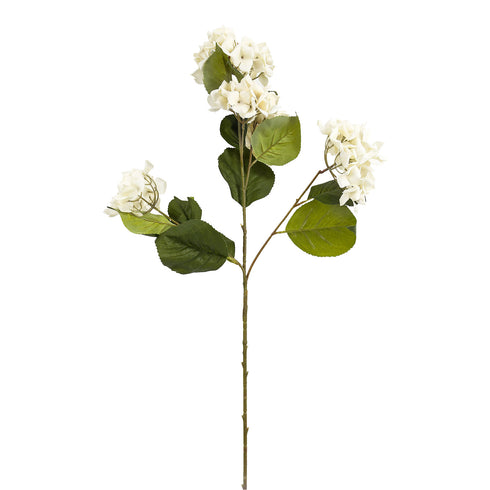 Round Hydrangea White