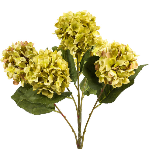 Round Hydrangea Green