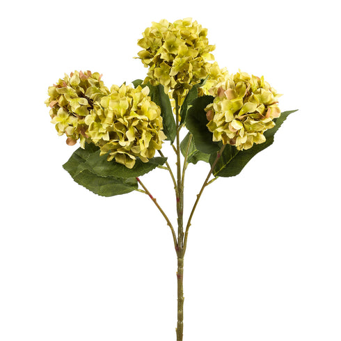 Round Hydrangea Green
