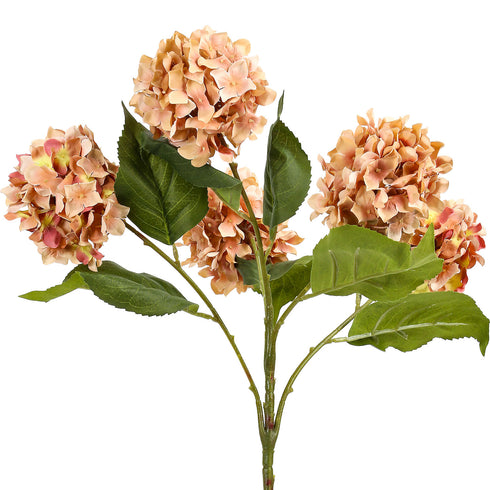 Round Hydrangea Plush