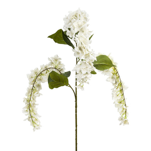 Hydrangea Strip White