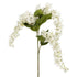 Hydrangea Strip White