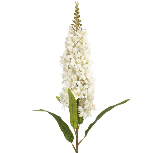 Single Hyacinth - White