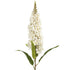 Single Hyacinth - White