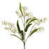 Snow Orchid White