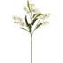 Snow Orchid White