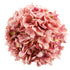 Large Round Hydrangea Ball