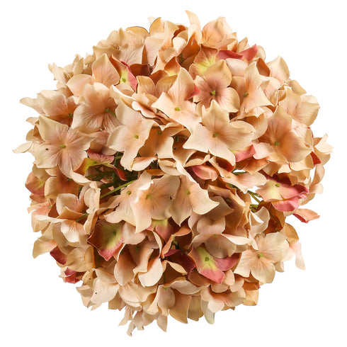 Large Round Hydrangea Ball