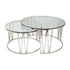 Mila Coffee Table Set Silver - Clear Glass