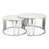 PRE ORDER Mila Coffee Table Set Silver - White Marble