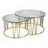 Mila Coffee Table Set Gold - Clear Glass