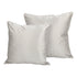 Darci Silver Cushion