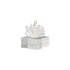 Silver Crystal Coral Reef