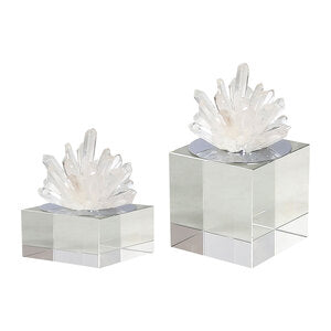 Silver Crystal Coral Reef