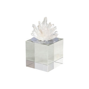 Silver Crystal Coral Reef