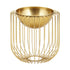 Gold Round Caged Vase