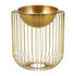 Gold Round Caged Vase