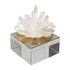 Gold Crystal Coral Reef
