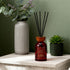 Red Diamond Diffuser 1000ml