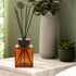 Agathis Amber Diffuser 1000ml