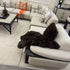 Luna Corner Modular Sofa