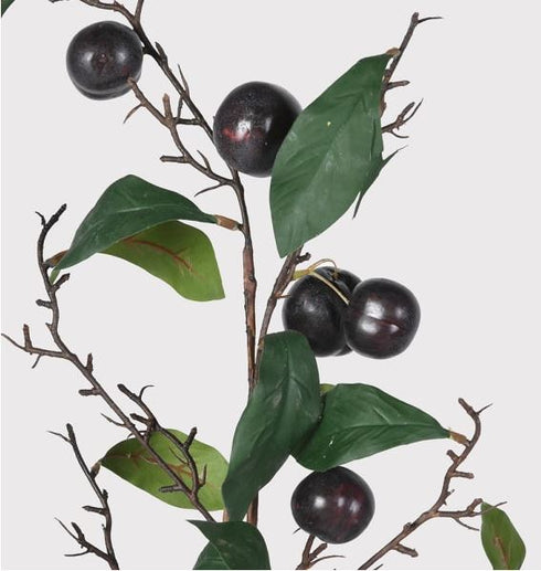Plum Leaves Spray