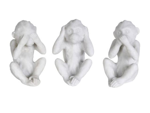 No Evil Comp Quartz Monkeys