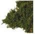 Bag of Real Natural Moss
