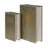 Set of 2 Classic Book Boxes