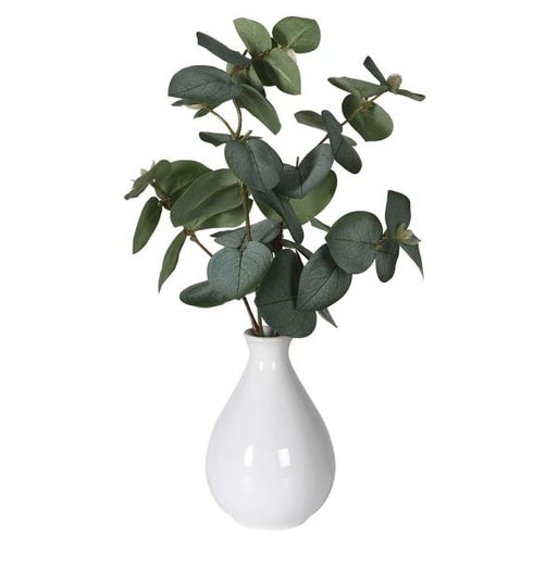 Ecualpytus Ceramic Vase