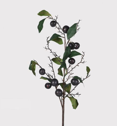 Plum Leaves Spray