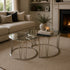 Mila Coffee Table Set Silver - Clear Glass