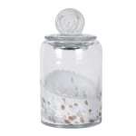 Clear Glass Speckle Jar