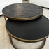 PRE ORDER Areeba Coffee Table Set Of 2